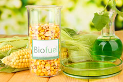 Stoke Newington biofuel availability